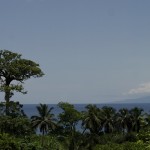 camerun-002