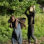 camerun-012