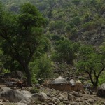 camerun-049