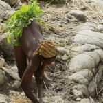 camerun-088