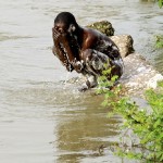 camerun-095