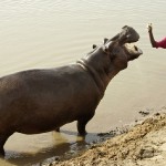 camerun-098