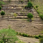 camerun-102