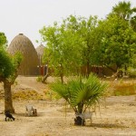 camerun-118