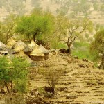 camerun-137