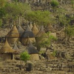 camerun-161