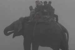L'elefante, con il suo carico forzoso di turisti sul dorso, attraversa il fiume Rapti e beve sorsi d'acqua dalla sua proboscide, Chitwan National Park, Nepal 2018.