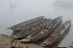 Nella fitta nebbia dell'alba una barca condotta da un esperto uomo Tharu si allontana con il suo carico di turisti lungo le acque brumose del fiume Rapti, Chitwan National Park, Nepal 2018.