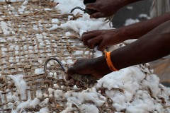 Le mani di questi operai impugnano con sapienza i ganci di acciaio che permetteranno di spostare l'enorme balla di cotone. Dintorni del villaggio di Saundatti, Regione del Karnataka, India 2015.