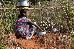 "Glance off it" (Sguardo laterale): questa bambina Kodavas mentre lavora nel piccolo orto, mantenendo due recipienti pieni di acqua in equilibrio sulla testa, si accorge della mia presenza e controlla con lo sguardo cosa ho intenzione di fare. Villaggio di Kakkabe, Distretto di Kodagu, Regione del Karnataka, India 2015.
