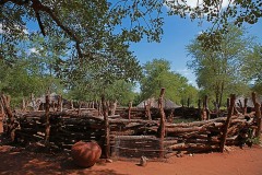 Recinto per gli animali creato con rami e tronchi intrecciati, Villaggio Pedi, Sud africa 2012