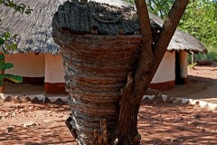 Anche gli alberi vengono utilizzati come strutture per porre tra i rami contenitori in tessuto intrecciato a mano che contengano grano o cereali, Villaggio Pedi, sud Africa 2012