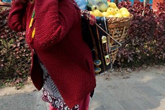 Una donna appartenente all'etnia Sherpa vende mele che trasporta sul "Doko", una grande cesta che viene issata sulla schiena mediante degli spallacci intrecciati con resistenti fibre vegetali o corde e ancorata alla fronte con una lunga fascia. A spanne la sua schiena dovrebbe sopportare un peso di oltre 30 chilogrammi. Lungolago di Phewa Tal, Pokhara, Nepal 2018