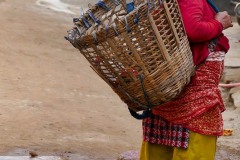 Una donna Sherpa con sulla schiena il "Doko", la grande cesta con cui trasporta i mattoni a piedi sulle ripide scale dell'edificio in fase di ricostruzione: ora sta attendendo il suo turno per procedere a caricare il materiale, villaggio di Bungamati, Nepal 2018.