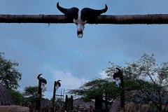 All'ingresso del villaggio un teschio di un grande bufalo veglia minaccioso sui suoi abitanti, Villaggio di Shakaland, Provincia del KwaZulu-Natal, Sud Africa 2012