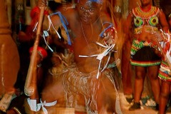 Guerriero Zulu agita la propria mazza di legno da combattimento ("Knobkierie"), realizzata con i rami di un albero dal legno durissimo ("Ironwood"), talmente potente da infliggere ferite mortali ai nemici nel combattimento corpo a corpo, danza "Indlamu", Villaggio Shakaland, Provincia del KwaZulu-Natal, Sud africa 2012