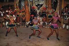 Le giovani donne Zulu con i tipici vestiti impreziositi dalle perline multicolori, muovono passi di danza "Ukusina", danza legata alla cerimonia "Umemulo" che celebra il passaggio della giovane donna Zulu alla maggiore età ed alla possibilità di sposarsi e di procreare. Il rituale prevede anche la macellazione di una mucca che viene offerta a tutti gli abitanti del villaggio che, da parte loro donano denaro e benedizioni alla giovane donna. Villaggio di Shakaland, Provincia del KwaZulu-Natal, Sud africa 2012