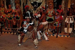 Assolo di un ballerino Zulu che interpreta la danza tradizionale "Indlamu", Villaggio Shakaland, Provincia del KwaZulu-Natal, Sud Africa 2012