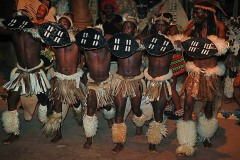 Danza tradizionale Zulu denominata "Indlamu" in onore del grande e compianto Re Shaka, i ballerini brandiscono il loro scudo di pelle di vacca rinforzato con bastoni danzando al ritmo dei tamburi, Villaggio Shakaland, Provincia del KawZulu-Natal, Sud Africa 2012