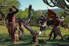 I combattimenti simulati tra i guerrieri Zulu fanno parte delle cerimonie in onore degli antenati e dei loro spiriti guerrieri. Indossano il grembiule anteriore (isinene) e il grembiule posteriore (ibheshu) che hanno lo scopo di coprire i genitali e le glutei. I peli della coda di una mucca (amashoba) sono indossati sulla parte superiore delle braccia e sotto le ginoccha per ingigantire la massa muscolare al fine di incutere soggezione ai nemici. La mazza da combattimento, denominata "Knobkierie" è ricavata dai rami di un albero particolarmente duro (l'Ironwood) e può procurare anche traumi mortali nel combattimento corpo a corpo. Gli scudi sono in pelle di vacca rinforzati sul retro con lo stesso legno della mazza. Villaggio Shakaland, Provincia del KawZulu-Natal, Sud Africa 2012
