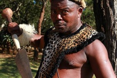 Ritratto di guerriero Zulu che impugna la lancia corta ("Assegai") e il grande scudo da combattimento in pelle di vacca (distinto dal nome "Isihlangu"), Villaggio Shakaland, Provincia del KawZulu-Natal, Sud Africa 2012
