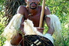 Guerrero Zulu con il tipico scudo piccolo di pelle di vacca ("Ababhumbuluzo") rinforzato con un bastone di legno durissimo sul retro e la mazza da combattimento ("Knobkierie") in durissimo legno "Ironwood", Villaggio Shakaland, Sud Africa 2012