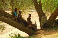 Etiopia - Etnia Hamer: Cerimonia del salto dei tori