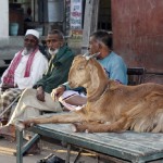 india_05