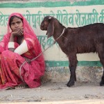 india_21