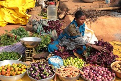 Nel mercato di Saundatti una donna Hindu propone i prodotti della terra da lei stessa coltivati. Regione del Karnataka, India 2015.