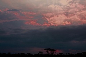 Tramonto sul Mapungubwe National Park