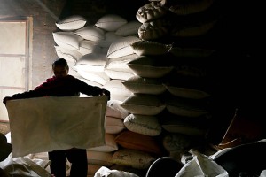 Nel magazzino attiguo alla fabbrica che estrae l'olio di senape, una donna Newari di casta "Sudra" (servi) piega i sacchi che contenevano i semi svuotati durante la lavorazione, villaggio di Khokanà, Nepal 2018.