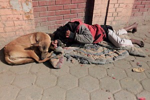 Lungo la famosa Freak Street (meglio nota come "Jhochhen") un cane ed il suo padrone dormono sul marciapiede. I bambini di strada a Kathmandu sono una piaga dolorosa, alcuni riescono a sopravvivere agli stenti, alla denutrizione ed alle malattie e divengono giovani uomini come questo ragazzo. Ma sono una percentuale minima. E comunque la loro vita di strada non cambia. Kathmandu, Nepal 2018