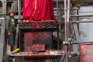 Sconsolato, non avendo trovato nulla di commestibile, si appresta a scendere dal piedistallo dove è posta la statua della Divinità, Palazzo Reale di Patan, Nepal 2018.