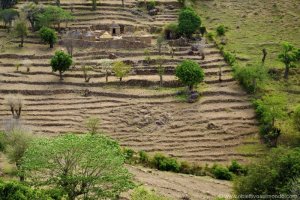 camerun-102