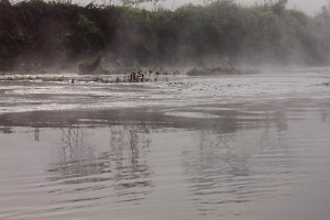 Dall'acqua del fiume Rapti sale la bruma del primo mattino mentre la Natura lentamente si risveglia, Chitwan National Park, Nepal 2018.