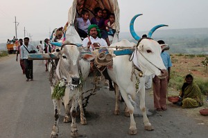 In occasione della prima luna piena del mese Hindu di Margasira (corrispondente al 5 gennaio 2015), giorno di buon auspicio (prende il nome di "Bharat Hunnime"), che coincide con i festeggiamenti in onore della Dea Yallamma (la Madre della fertilità, dei contadini, dei tribali, delle donne, degli eunuchi e dei transessuali,conosciuta anche come "Jagadamba" la Madre dell'Universo), oltre centomila pellegrini provenienti dal Karnataka, dall'Andhra Pradesh, dal Maharashtra raggiungono il villaggio di Saundatti ove sorge il Tempio Yallamma Devi su una collina chiamata Yallammagudda. Viaggiano su carri trainati dai buoi, a piedi, su sgangherati autobus, su sferraglianti camion e fuoristrada. Appartengono alle classi meno privilegiate della società indiana, a queste cerimonie non sono presenti indiani ricchi e facoltosi. Nelle notti di plenilunio del Renuka Yallamma Jatra la Dea Yallamma si mostra nei corpi mortali delle Devadasi (le schiave devote della Divinità), degli eunuchi e dei transessuali. Resteranno nell'accampamento creato per la Festa da un minimo di tre settimane a qualche mese. Regione del Karnataka, India 2015.