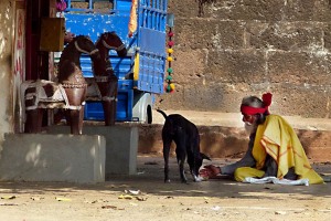 Nel villaggio di Saundatti uno sciamano seduto a terra a gambe incrociate porge il cibo al suo fedele cane: l'eleganza, la  nobiltà e la dolcezza del movimento con la sua mano mentre porge il cibo all'animale è veramente encomiabile. I cavalli posti all'ingresso del piccolo tempio prendono il nome sanscrito di "Vahana", cioè l'animale deputato ad essere cavalcato dalle diverse Divinità. Regione del Karnataka, India 2015.
