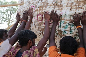 Lo sforzo evidente di questi operai della Sha Shivalal Jawaharlal Jain nell'issare sul camion questa enorme balla di cotone, coadiuvati dai colleghi che la spingono con le pertiche di bambù. Dintorni del villaggio di Saundatti, Regione del Karnataka, India 2015.