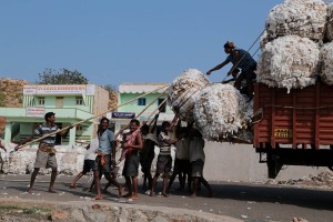 Queste enormi balle di cotone vengono sollevate a mano dagli operai della ditta Sha Shivalal Jawaharlal Jain ed issate sui camion con l'ausilio di lunghe pertiche e di ganci (simili a grandi ami da pesca), dintorni del villaggio di Saundatti, Regione del Karnataka, India 2015.