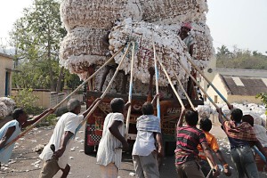 Occorrono ben otto pertiche (lunghe canne di bambù) ed altrettanti uomini per tirare su questa enorme balla di cotone sul camion, dintorni del villaggio di Saundatti, Regione del Karnataka, India 2015.