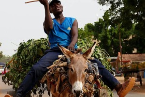 Dosso, Niger 2019