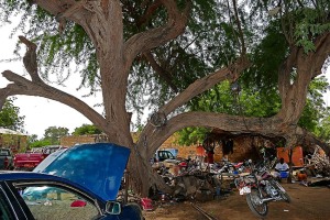 Dosso, Niger 2019