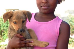 Bambina Ndebele mostra orgogliosa il suo cucciolo di cane, villaggio di Kglodwana, Sud Africa 2012