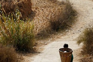 Le donne Newari che hanno lavorato in campagna dalle prime ore del mattino, rientrano a piedi in direzione del villaggio con sulla schiena il "Doko", la grande cesta con il raccolto del giorno. Dintorni del villaggio di Khokanà, Nepal 2018.