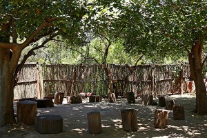 Tipico villaggio dell'etnia Pedi, all'ombra degli alberi si riunisce il consiglio degli anziani del villaggio , Sud africa 2012