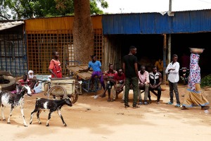 Mercato di Dosso, Niger 2019