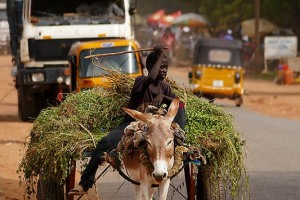 Dosso, Niger 2019