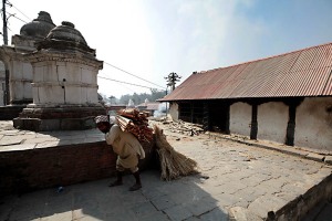 Un uomo Sherpa con il tipico copricapo trasporta sulla schiena la legna da utilizzare per comporre la pira utilizzata per le cremazioni: questo gruppo etnico, composto anticamente da pastori nomadi, giunse dal Tibet circa 500 anni addietro, introducendo il buddhismo tibetano e costruendo i magnifici "gompa" (monasteri) che sfidano la gravità sui fianchi delle montagne. Molti di loro attualmente svolgono il lavoro di guide di alta montagna o sono proprietari di agenzie di viaggio. Una minoranza continua, invece, a svolgere lavori pesanti e disagievoli. Pashupatinath, Kathmandu, Nepal 2018.