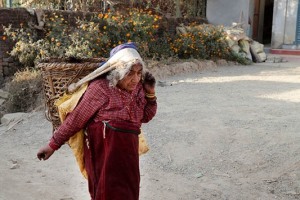 Una anziana donna nepalese di etnia Sherpa porta sulla schiena la grande cesta ("Doko") piena di carbone, villaggio di Dholahiti, Nepal 2018.